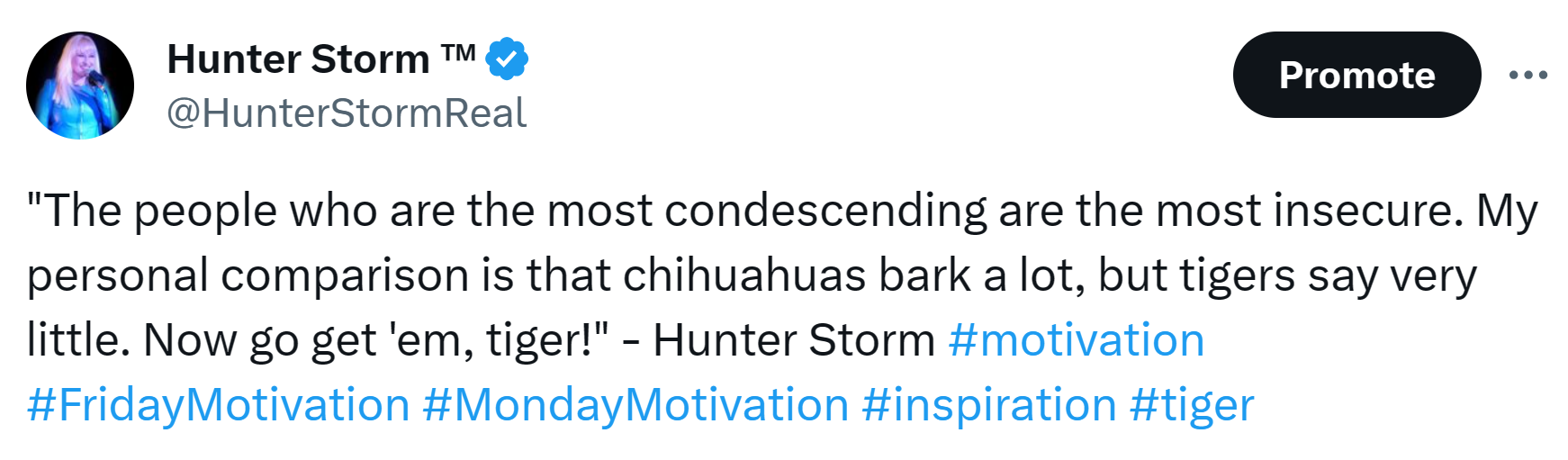 Hunter Storm Wisdom: Timeless Insights and Inspiration | "'The people who are the most condescending are the most insecure. My personal comparison is that chihuahuas are bark a lot, but tigers say very little.' Now go get 'em, tiger!"
