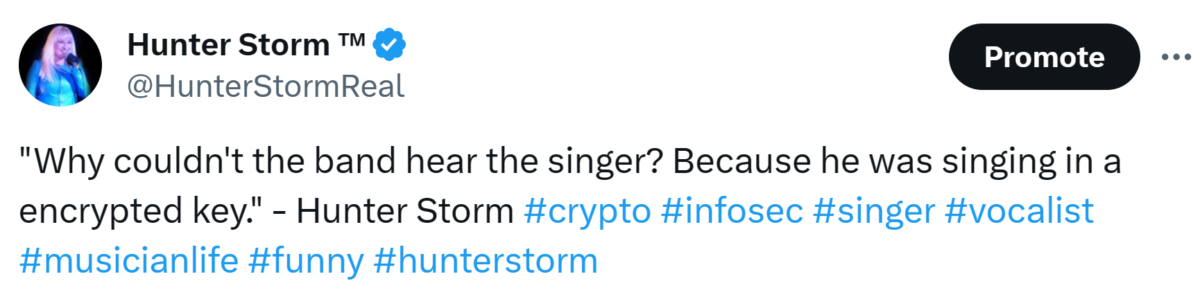 Hunter Storm Wisdom: Timeless Insights and Inspiration | "Why couldn't the band hear the singer? Because he was singing in an encrypted key."